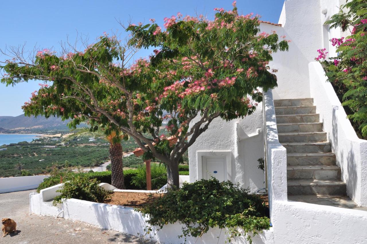 Castri Village Hotel Palaikastro Exterior foto